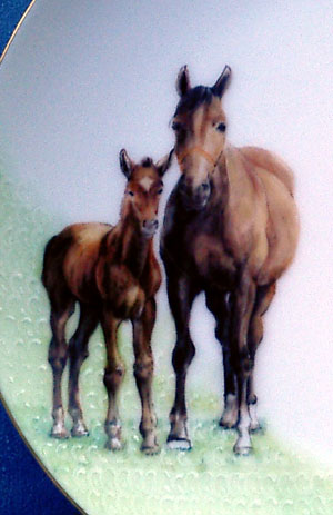 Horse Family